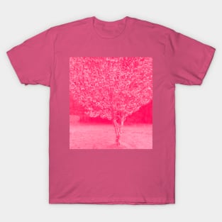 Cherry Blossoms Japanese Cherry Tree T-Shirt